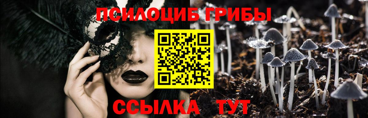 хочу наркоту  Псилоцибиновые грибы ЛСД  Улан-Удэ  Вход с VPN  Псилоцибиновые грибы Cubensis 